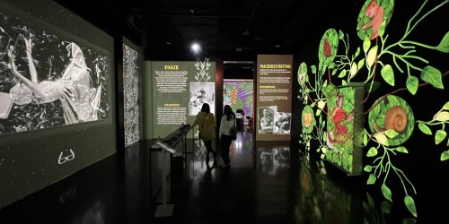 Element wystawy immersyjnej biografii Fridy Kahlo